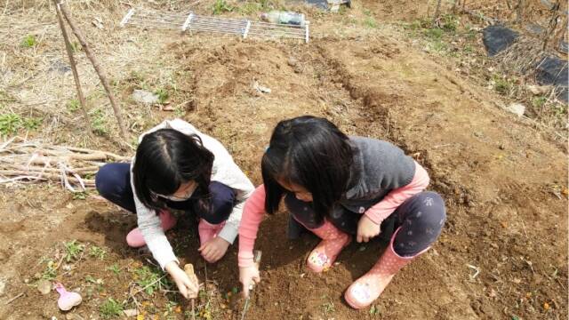 子ども　農業体験